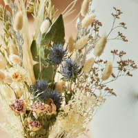 Bouquet champe tre fleurs se che es naturelles blanc givre 03