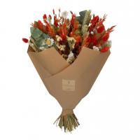 XL - Bouquet fleurs séchées - Orange