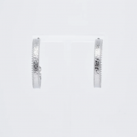 Boucles d'oreilles - Argenté - Acier inoxydable